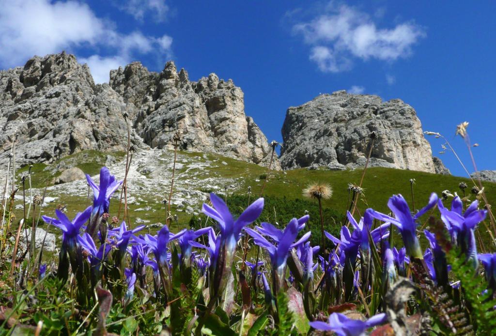 Apartments Mezdi Santa Cristina Val Gardena ภายนอก รูปภาพ